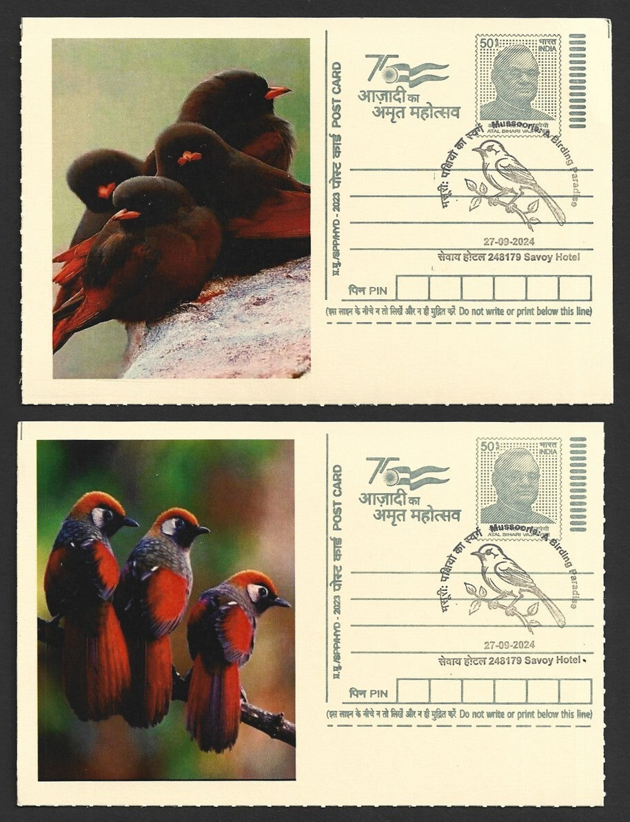 India 2024 Birding Paradise Savoy Hotel postmark cards FAMILIES OF BIRDS (10)