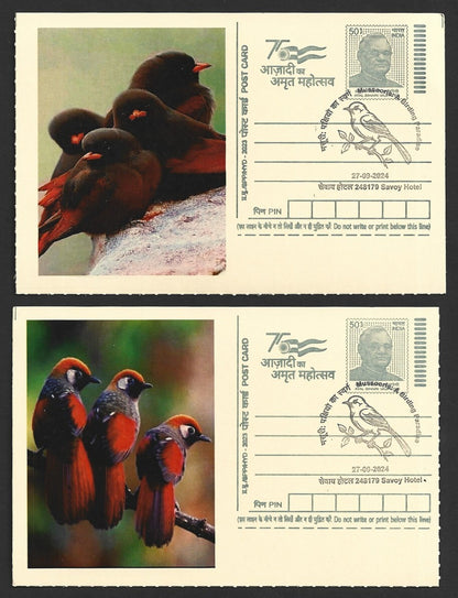 India 2024 Birding Paradise Savoy Hotel postmark cards FAMILIES OF BIRDS (10)