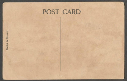 AOP India The Palace, Udaipur vintage postcard