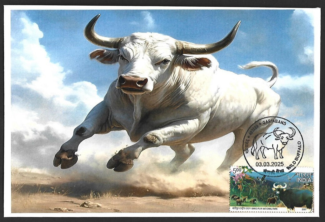India 2025 WILD BUFFALO, GARIABAND Special covers (5)