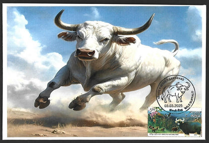 India 2025 WILD BUFFALO, GARIABAND Special covers (5)