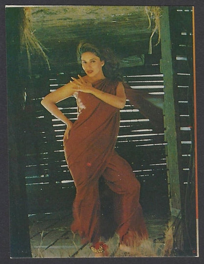 AOP2 India Bollywood 1996-97 pocket calendar MADHURI DIXIT
