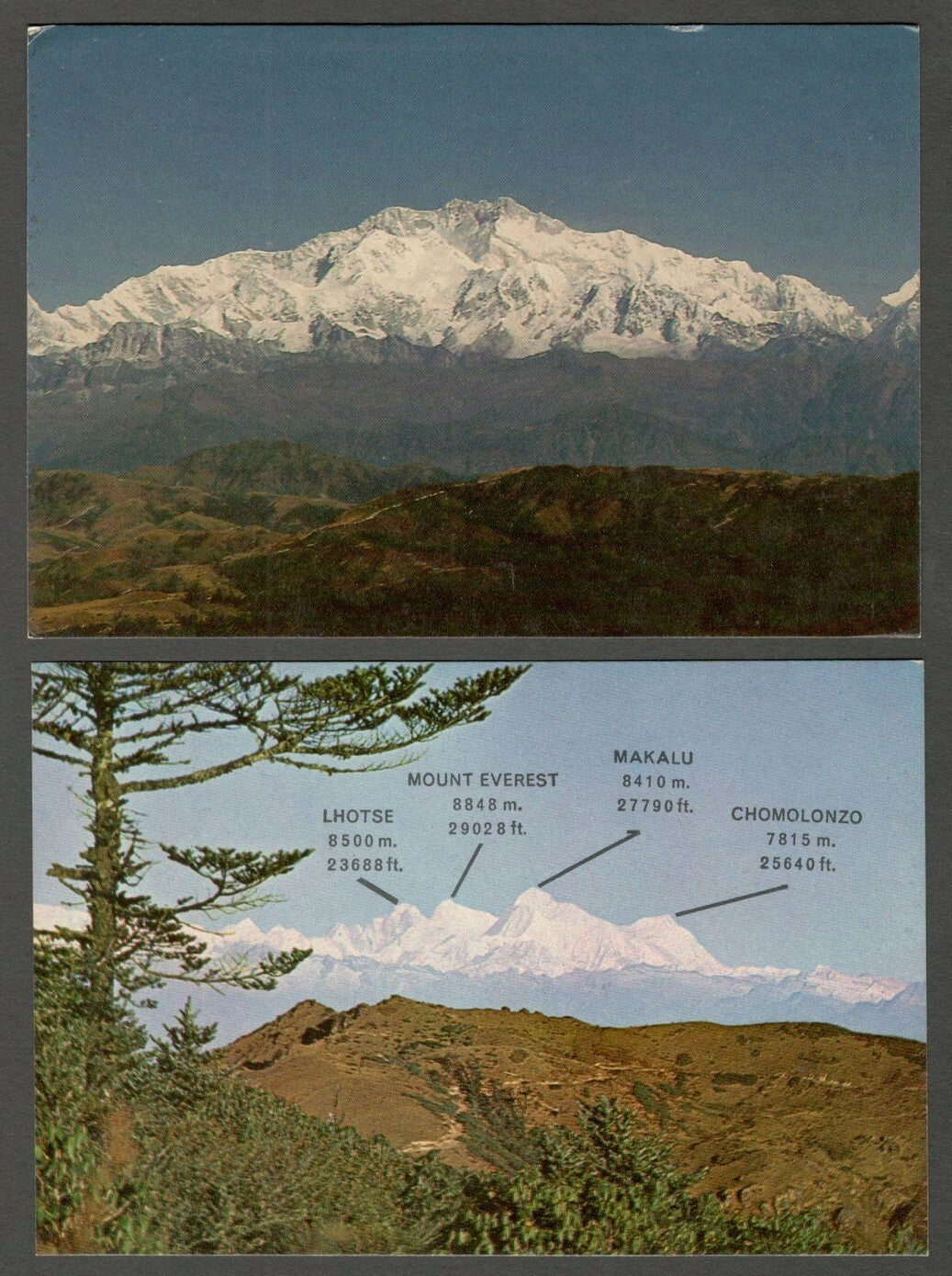 AOP India Darjeeling vintage postcards (8)