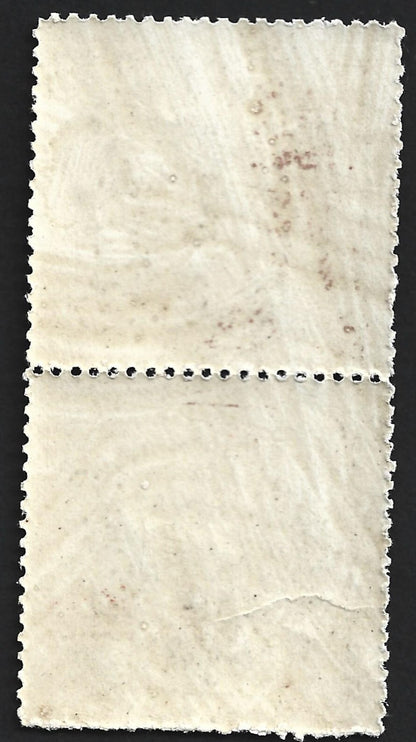 India Wadhwan State 1888-94 1/2p black medium wove paper MNH pair. SG 5 £26