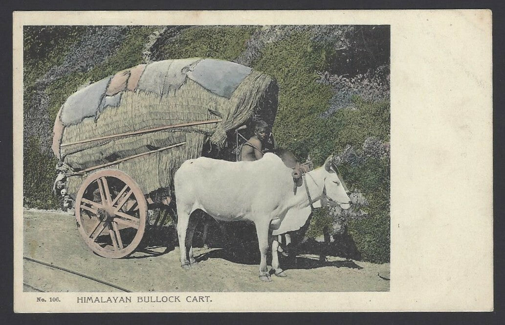 India vintage postcard HIMALAYAN BULLOCK CART.