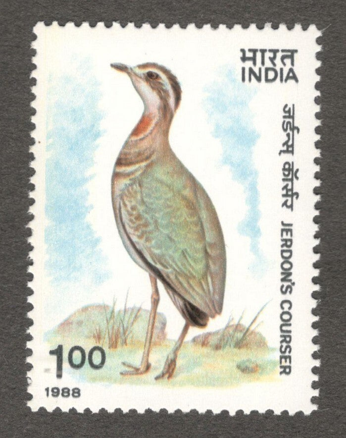 India #1164 1988 Jerdon's Courser MNH