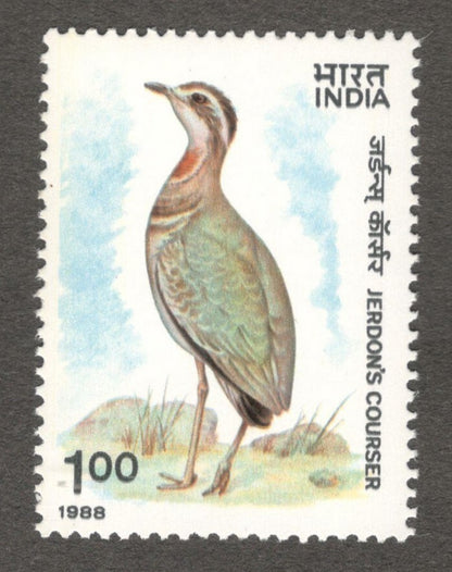 India #1164 1988 Jerdon's Courser MNH