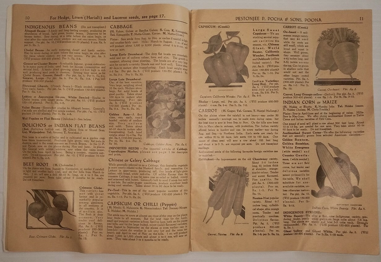 India 1950s illustrated price lists - Seed Glowers & Merchants (3)
