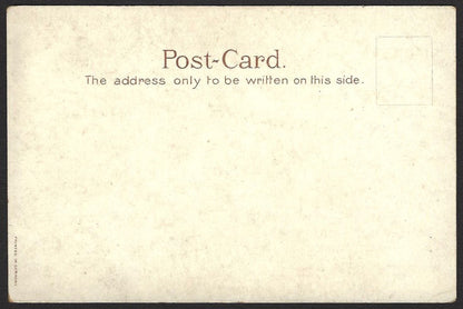India THE ASSEMBLY ROOMS & HOTELS NYNEE TAL Nainital vintage colour UB postcard
