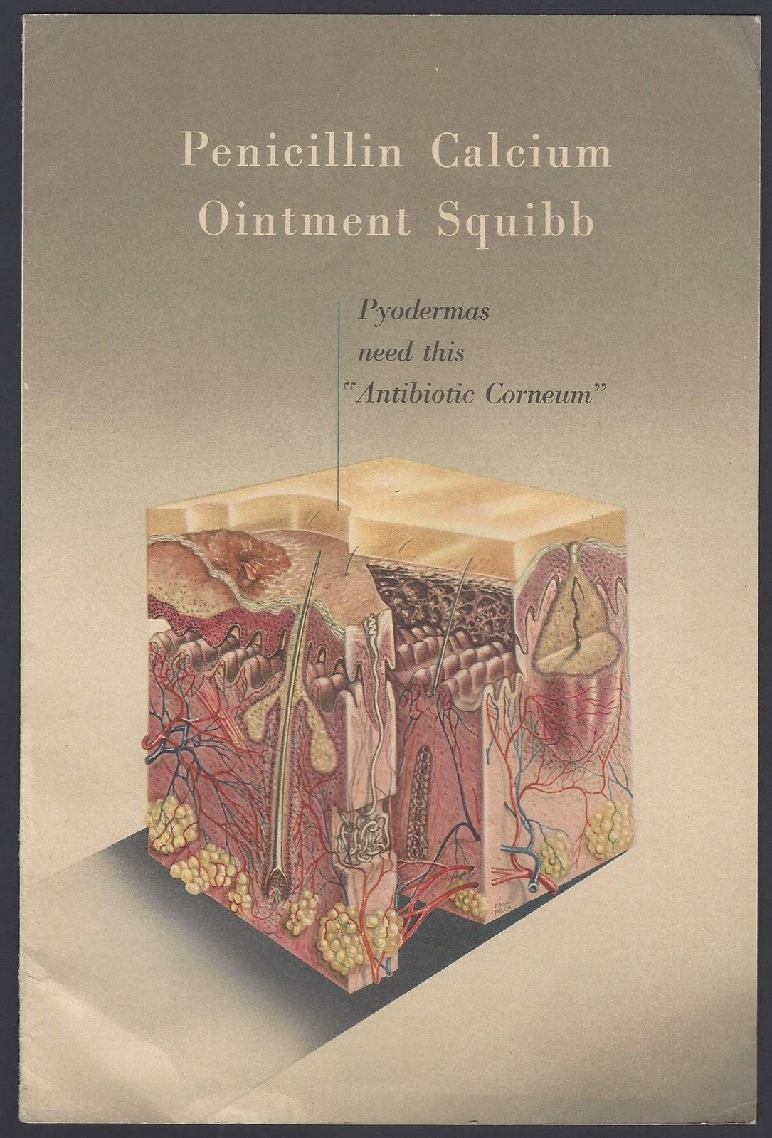 India 1940s to 1950s SQUIBB medical advertisement brochures (11) ZAZ