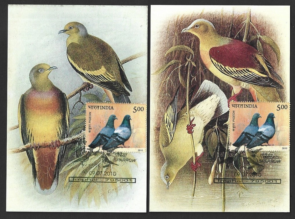 India 2010 Dove postcards (8)