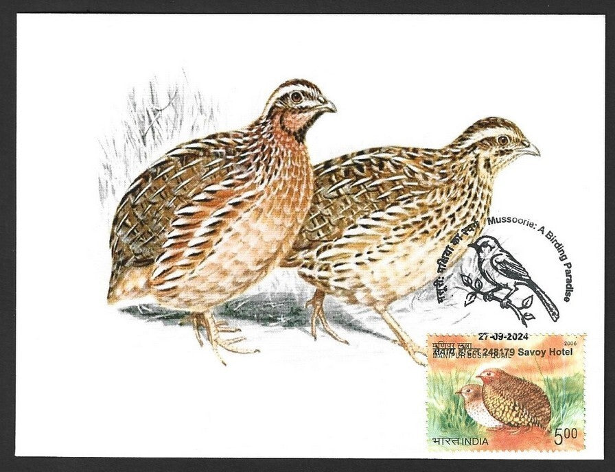 India 2024 BIRDS - QUAIL maximum card (not first day)