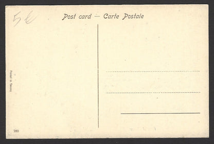 Gharial snow scene India vintage postcard 