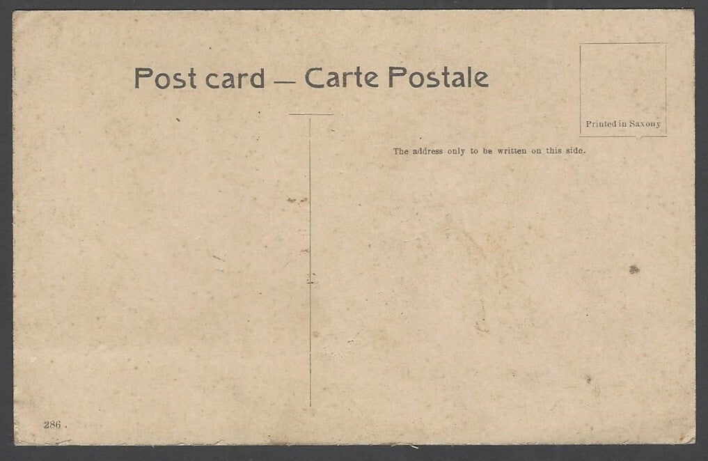 India The Bund Falls Poona vintage postcard
