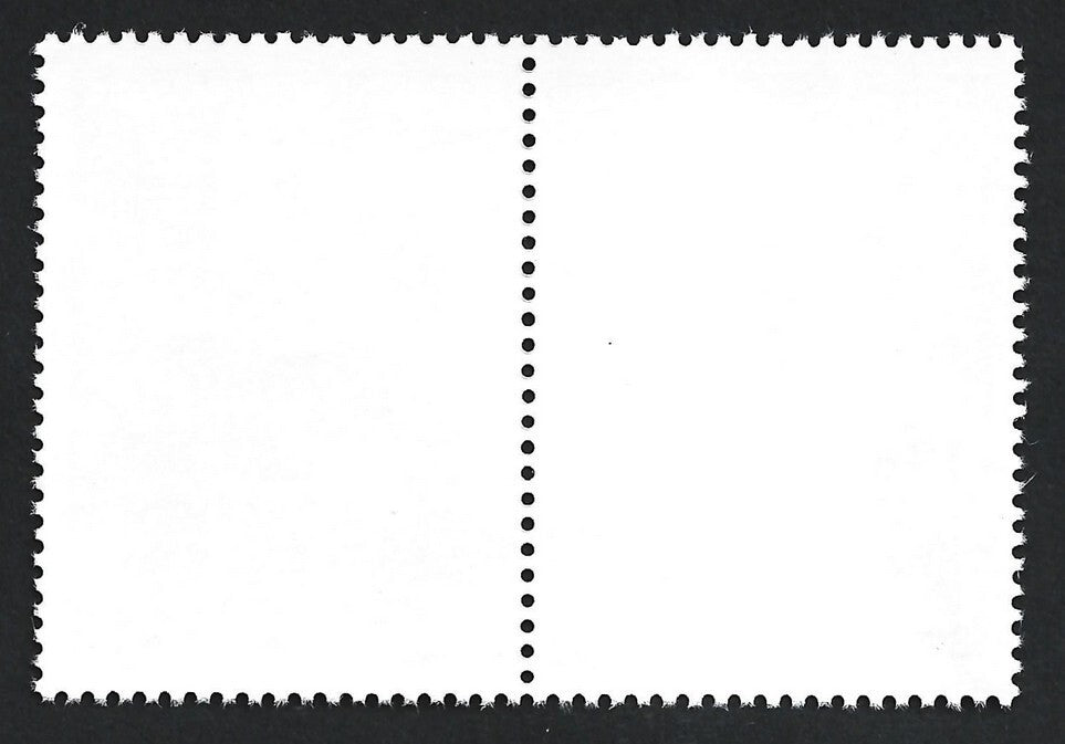 India 2000 Space Programme sete-nant pair MNH