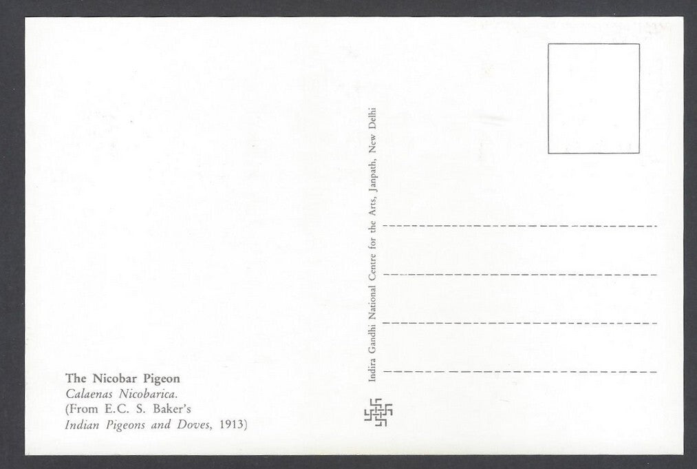 India 2008 Pigeon. The Nicobar Pigeon Maxi card