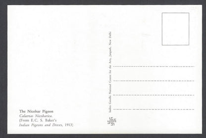India 2008 Pigeon. The Nicobar Pigeon Maxi card