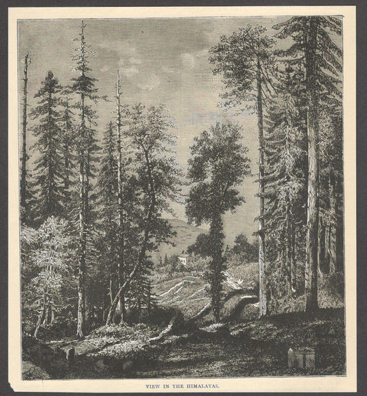 India VIEW IN THE HIMALAYAS engraved print ex libris Rousslet 1876 7"x6"