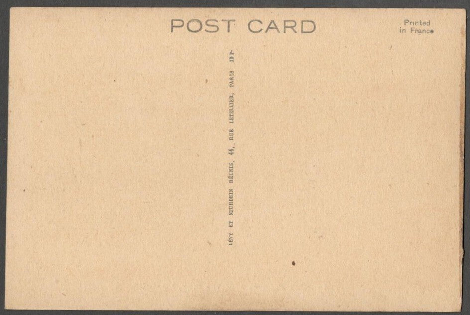 AOP India The Palaces, Udaipur vintage postcard