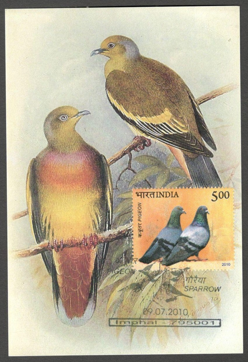 AOP India 2010 Pigeon maxi card