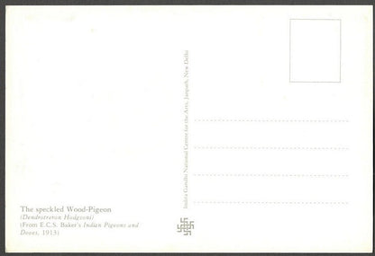 AOP India 2010 Pigeon maxi card