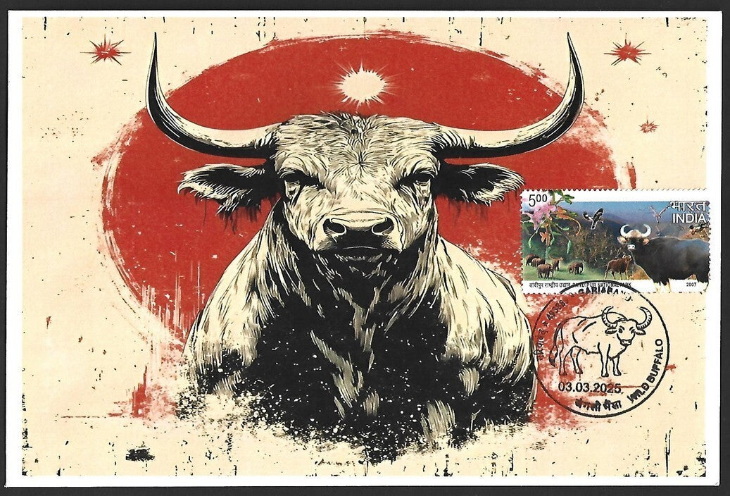 India 2025 WILD BUFFALO, GARIABAND Special covers (5)