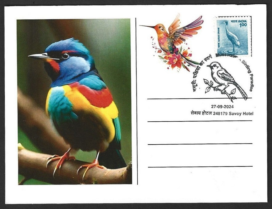 India 2024 BIRDS maximum cards (not first day) (7)