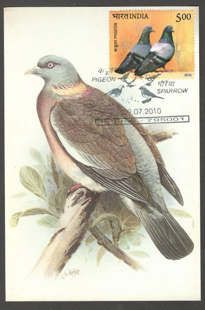 AOP India 2010 Pigeon maxi card