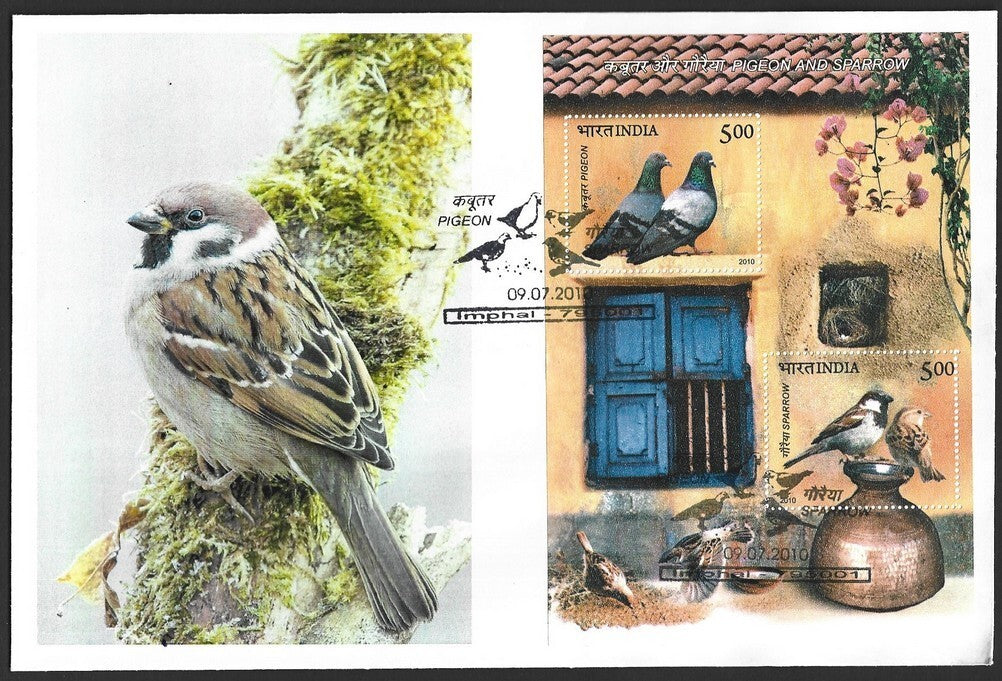 India 2010 Birds Pigeon & Sparrow MS on FDC First Day cover
