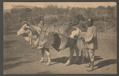 AOP India  vintage postcard WATER CARRIER