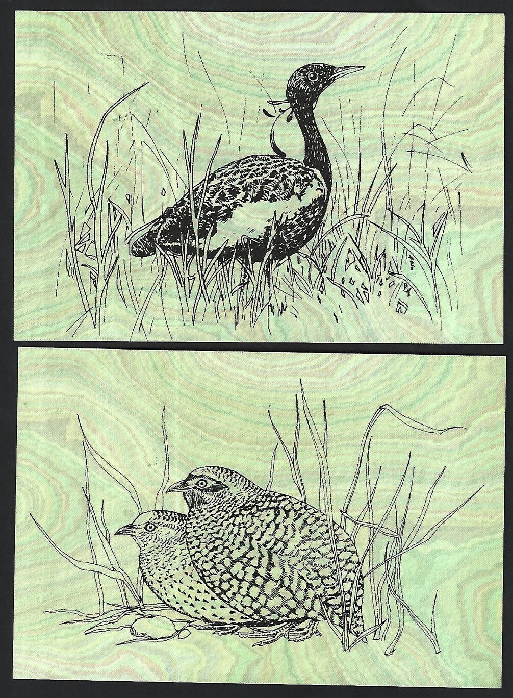 India 2008 Birds set of PHQ cards in folder used first day