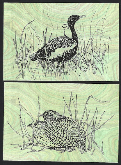 India 2008 Birds set of PHQ cards in folder used first day