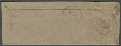 AOP India Indore State 1888 stampless cover postmarked PETLAWAD