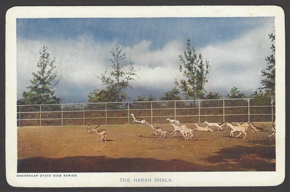India Bhavnagar State The Haran Shala 1940's View Card with state crest