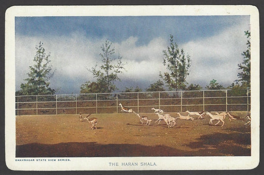 India Bhavnagar State The Haran Shala 1940's View Card with state crest