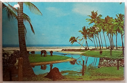 AOP India DAMSAN GOA vintage souvenir booklet of 10 postcards