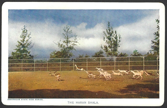 India Bhavnagar Haran Shala (Deer Park) colour 1940s View Card with State Crest