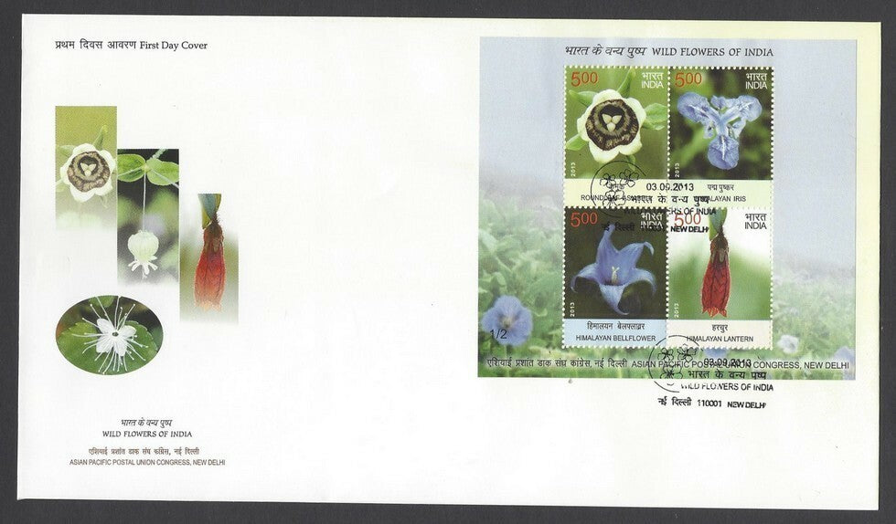 India 2013 Wild Flowers of India set of 3 miniature sheet MS on 3 FDCs