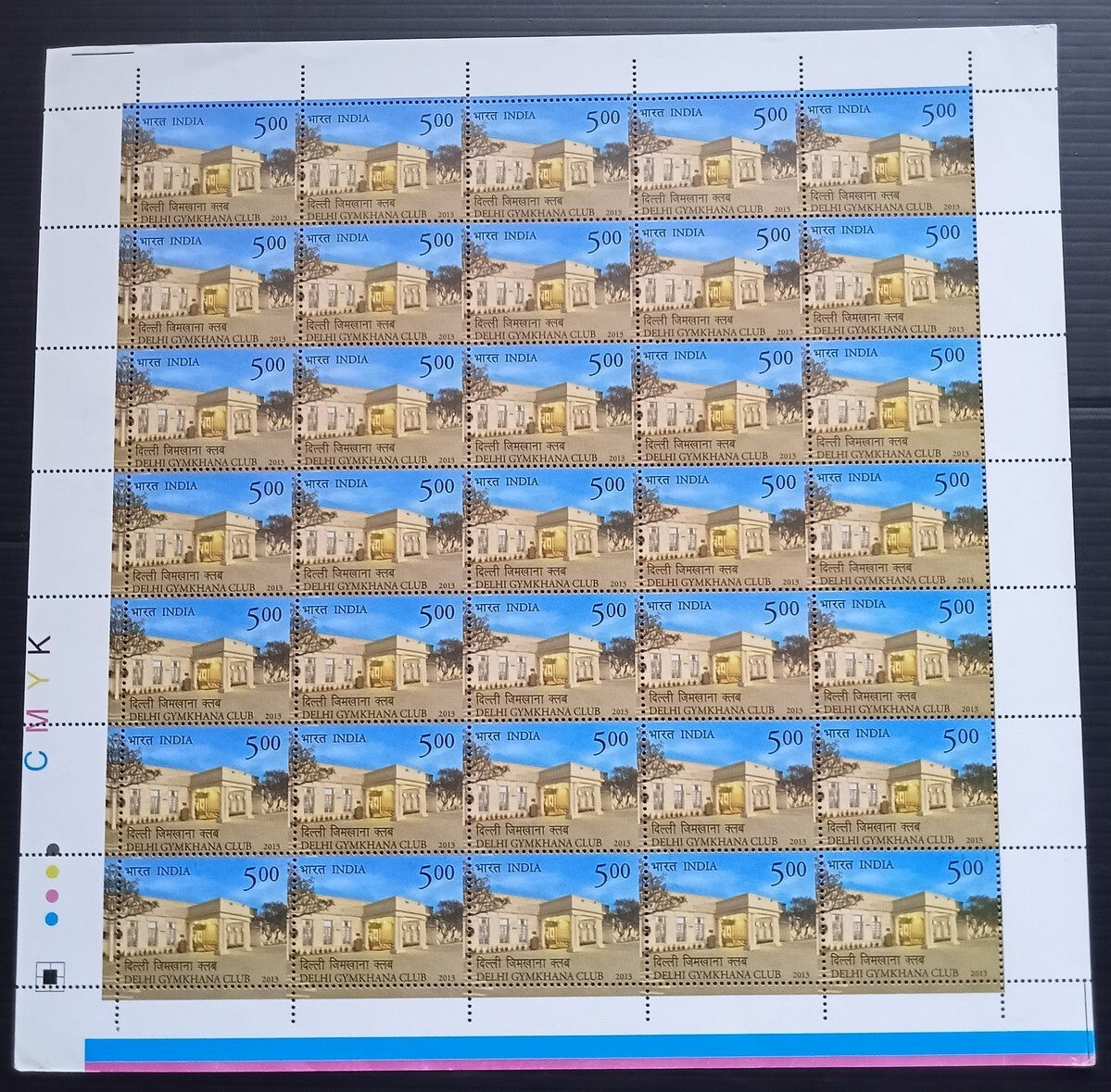 India 2013 Centenary of Delhi Gymkhana Club sheet of 35 MNH