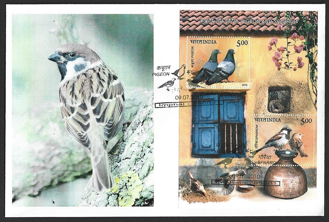 India 2010 Birds Pigeon & Sparrow MS on FDC First Day cover