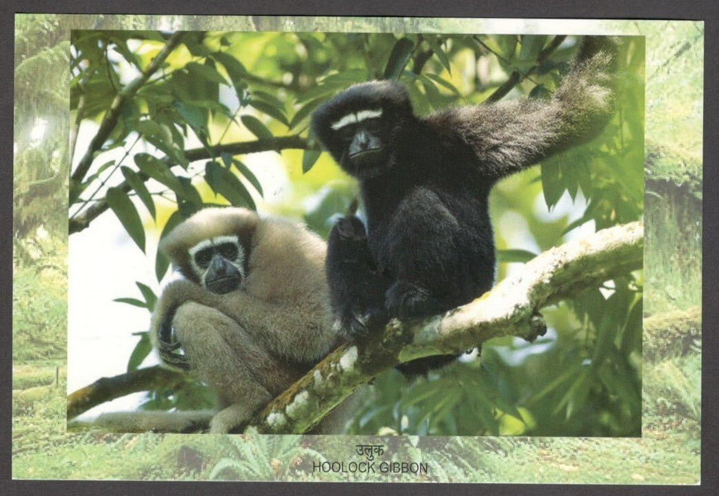 India 2012 Biodiversity Hotspots miniature sheet on FDC card