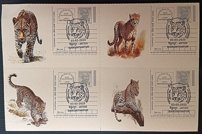 India Asiatic Cheetah group of 80 different special event postcards, Baikuntapur