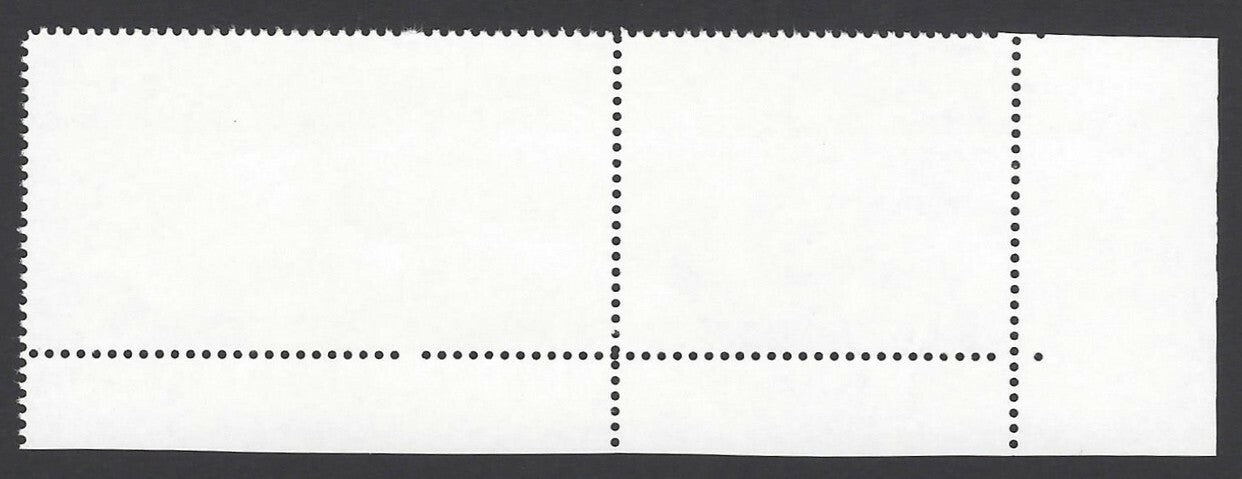 India 2017 BHU BENARES HINDU UNIVERSITY misperf se-tenant pair MNH