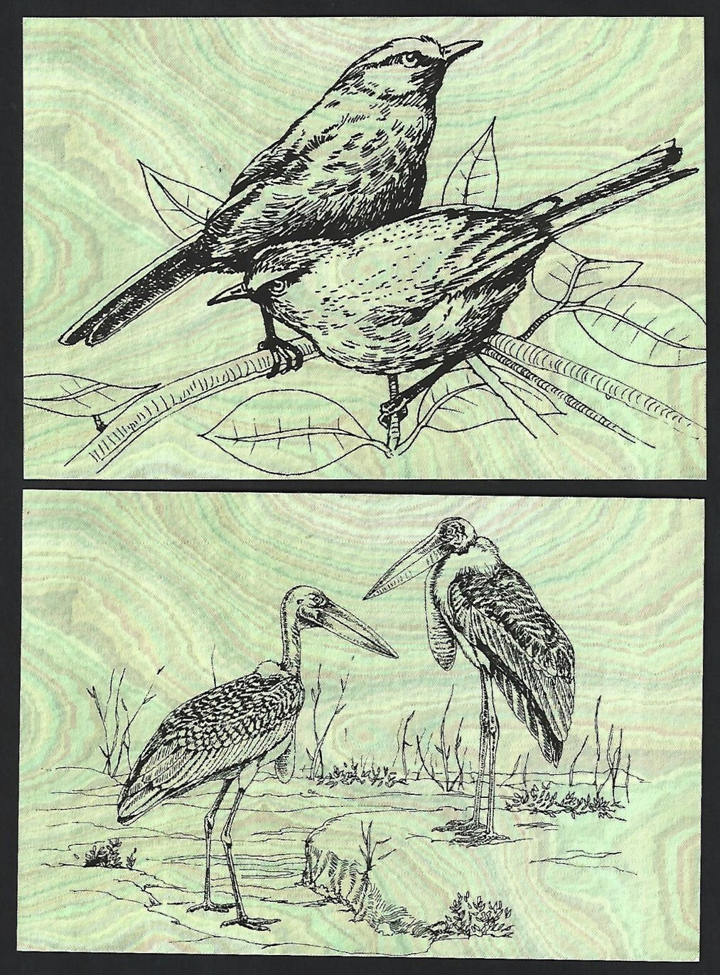 India 2008 Birds set of PHQ cards in folder used first day