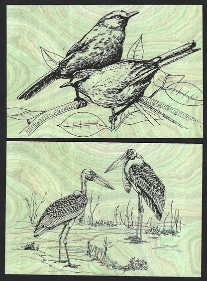 India 2008 Birds set of PHQ cards in folder used first day