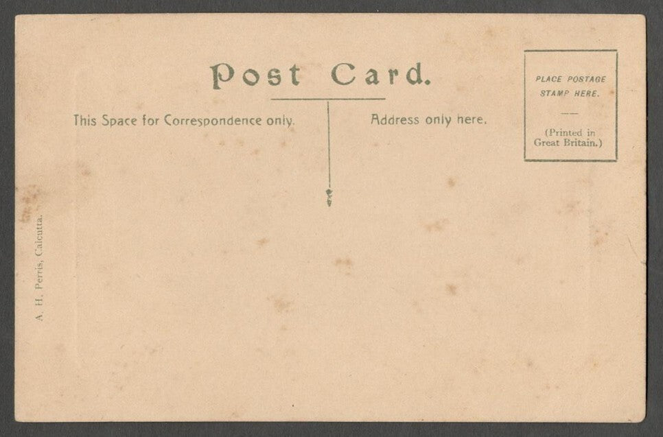 AOP India Geological Garden, Calcutta vintage postcard