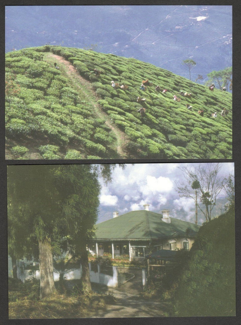 (AOP) India vintage postcards - DARJEELING (8)