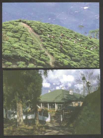 (AOP) India vintage postcards - DARJEELING (8)