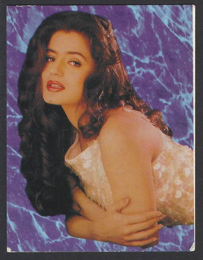 AOP2 India Bollywood 2004 Pocket Calendar AMISHA PATEL