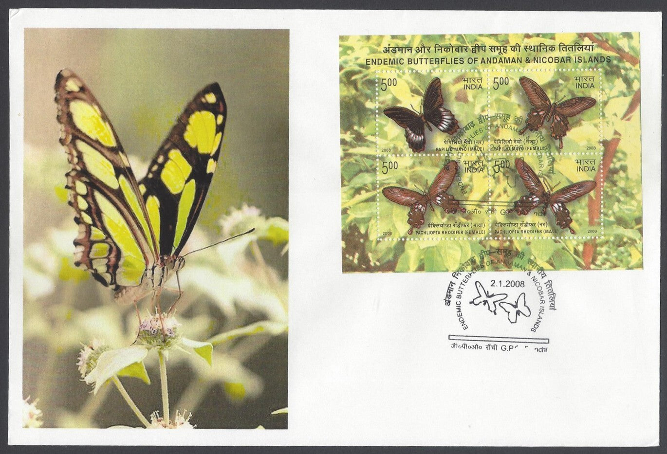 India 2008 Endemic Butterflies of Andaman & Nicobar Islands MS First Day cover